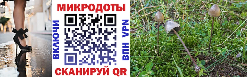 МЕГА сайт  мориарти какой сайт  Псилоцибиновые грибы GOLDEN TEACHER  Калтан 