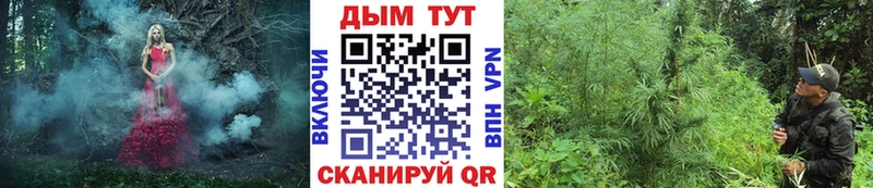 купить наркотики цена  Калтан  omg сайт  Шишки марихуана THC 21% 